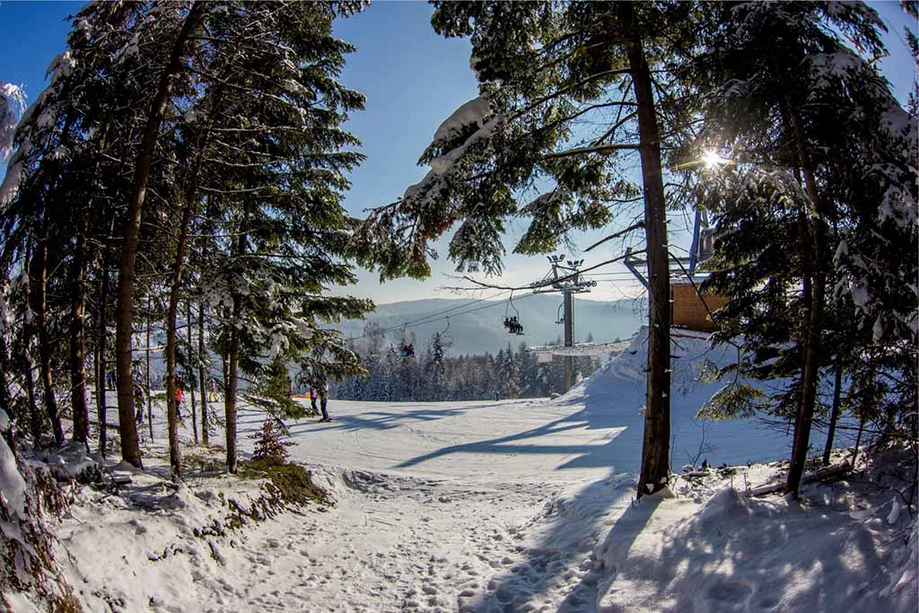 widok z lasy na tylicz ski